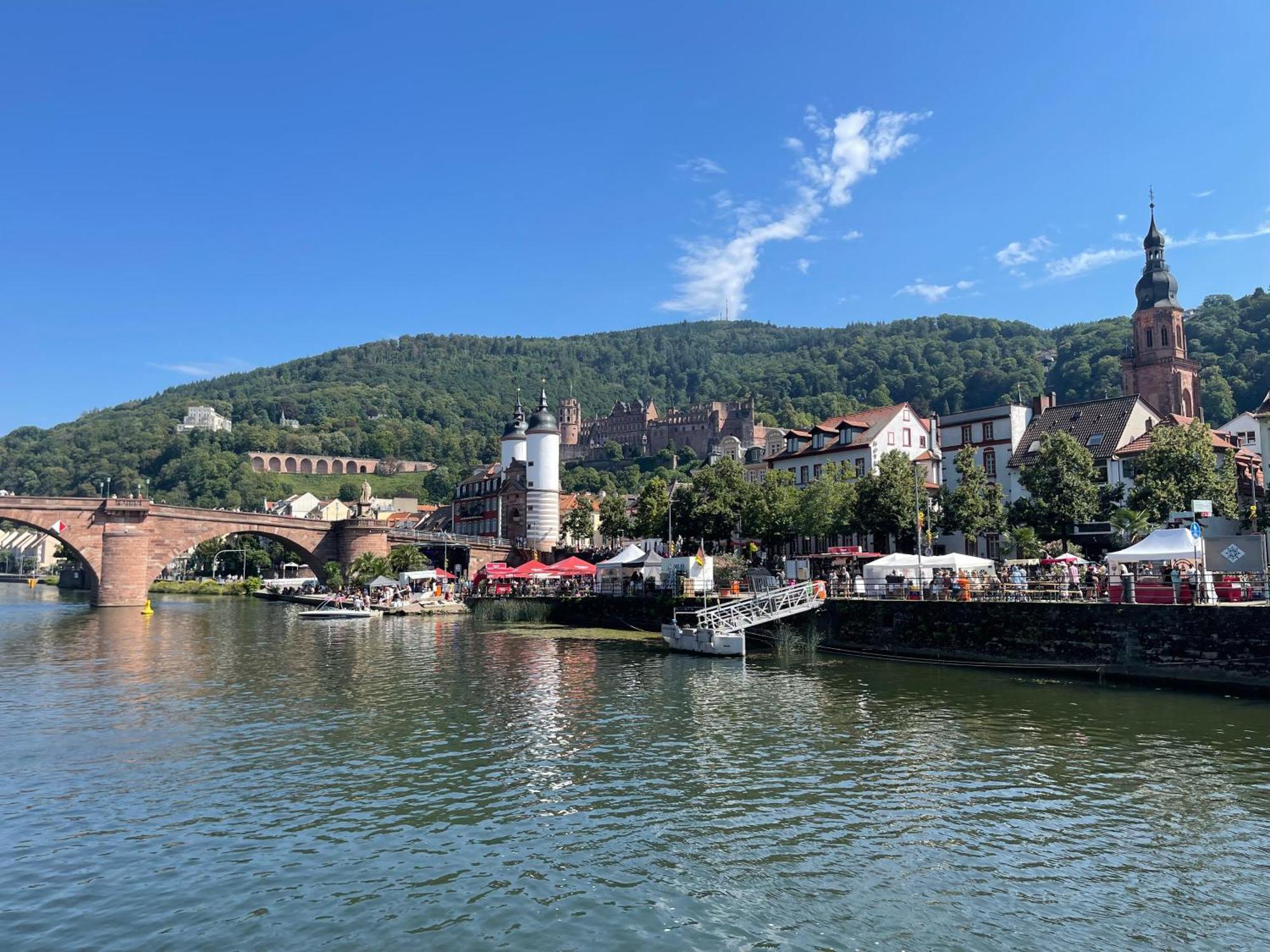 Apartament Boardinghouse Goethehaus Heidelberg Zewnętrze zdjęcie